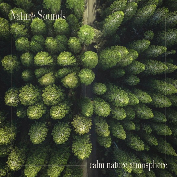 песня Nature Sounds - River Harmony